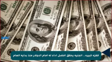 قفزة كبيرة.. الجنيه يحقق أفضل أداء له أمام الدولار منذ بداية العام